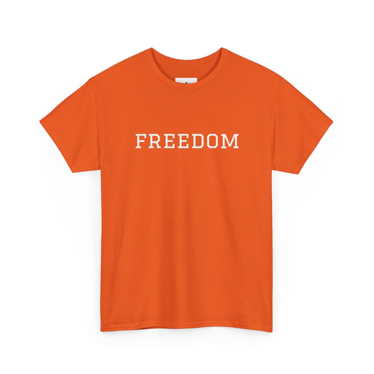 Freedom & Resilience Tee, Motivational Tee, Unisex T-shirt, Inspirational Apparel, Gift for Activists, Freedom Lovers