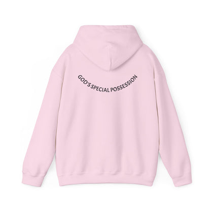 Chosen Hoodie | 1 Peter 2:9 Christian Sweatshirt, Unisex Faith Apparel, Spiritual Gift, Cozy Religious Hoodie