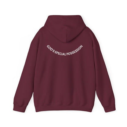 Chosen Hoodie | 1 Peter 2:9 Christian Sweatshirt, Unisex Faith Apparel, Spiritual Gift, Cozy Religious Hoodie