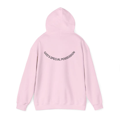 Chosen Hoodie | 1 Peter 2:9 Christian Sweatshirt, Unisex Faith Apparel, Spiritual Gift, Cozy Religious Hoodie