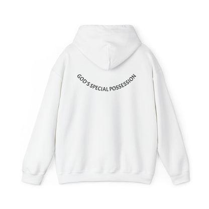Chosen Hoodie | 1 Peter 2:9 Christian Sweatshirt, Unisex Faith Apparel, Spiritual Gift, Cozy Religious Hoodie