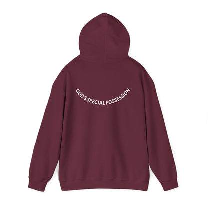 Chosen Hoodie | 1 Peter 2:9 Christian Sweatshirt, Unisex Faith Apparel, Spiritual Gift, Cozy Religious Hoodie