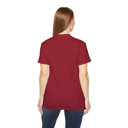 Loved & Rescued Tee — Ephesians 1:13 Christian Dove T‑Shirt